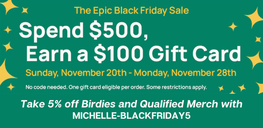 Birdies Garden Beds Black Friday Deals From Epic Gardening Michelle 