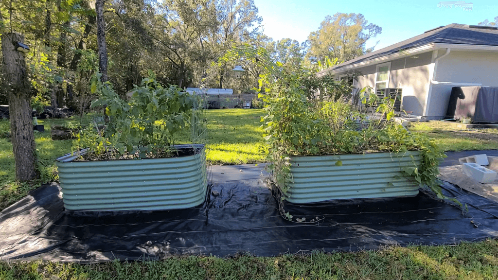 Which is Better? Vego vs Birdies Raised Garden Bed Review and 7 Month