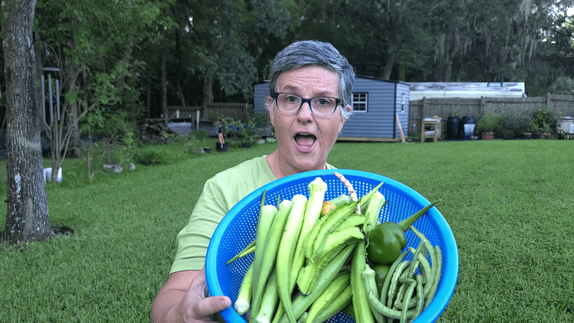 Heat Tolerant Vegetables We’re Harvesting in August in Florida