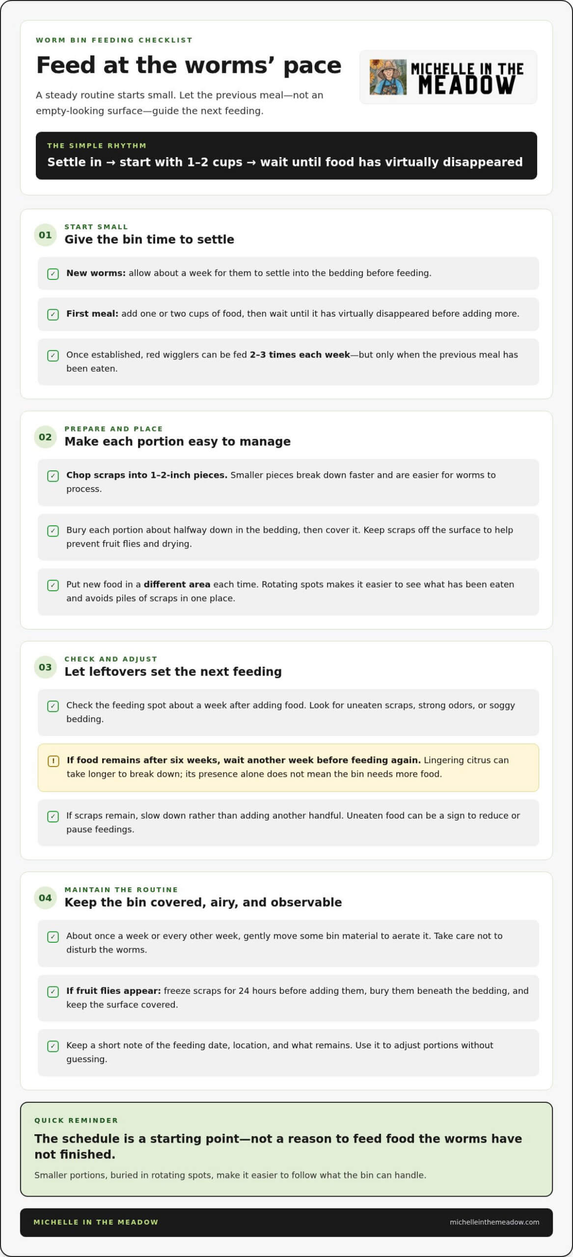 How to Set Up Vermicomposting for Kitchen Scraps and Feed Your Worms