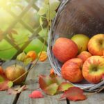 apples-1776744_960_720.jpg