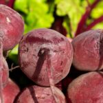 beetroot-3463259_960_720.jpg