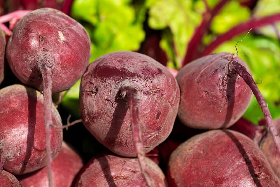 How To Grow Turnips In Your Garden