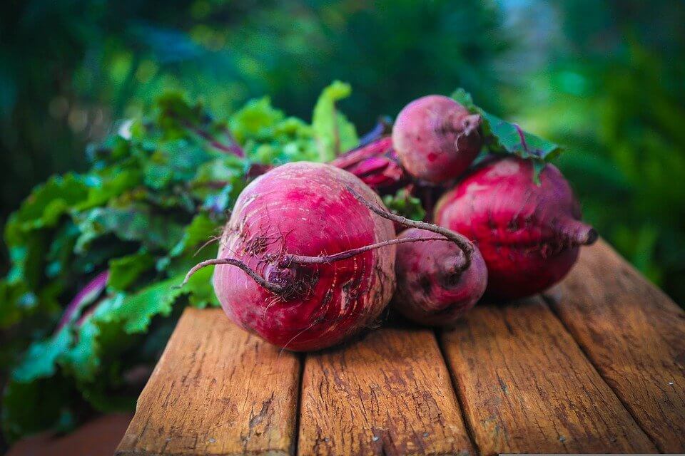 How to Grow Beets from Seed to Harvest
