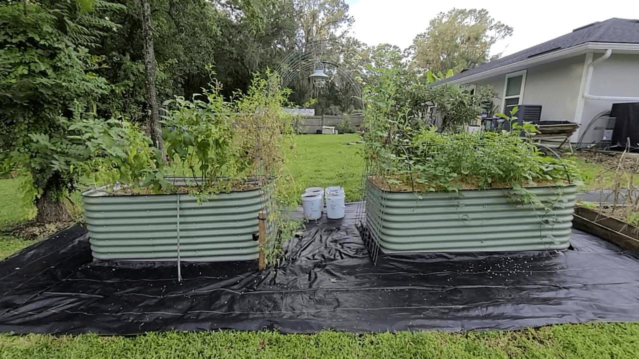 Every Question You've Asked About the Vego & Birdies Garden Beds 150