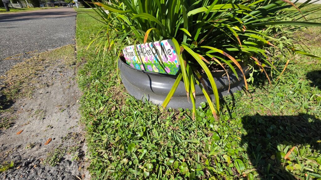 Birdies Tree Surround raised garden bed installed around a mailbox, planted with phlox and society garlic. 14 months later
