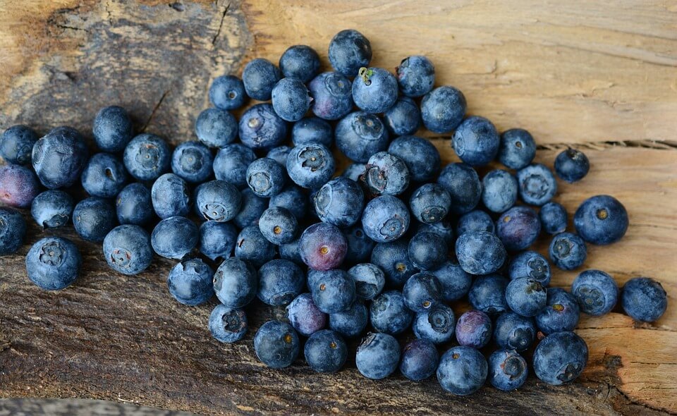 How To Grow Blueberries In Containers