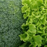 broccoli-1239430_960_720.jpg