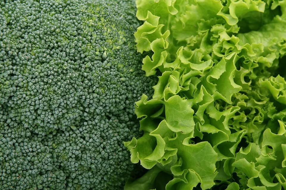 12 Easiest Vegetables to Grow in Your Garden