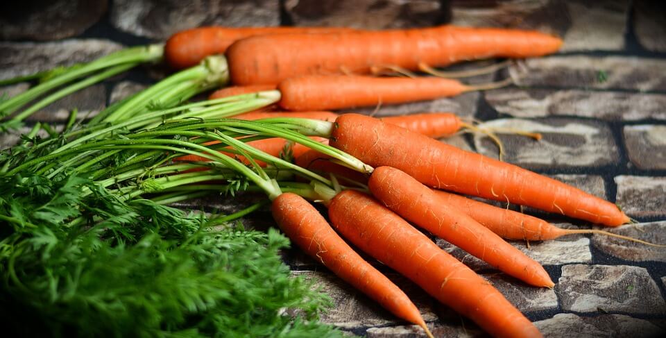 How To Grow Your Best Carrots Ever – From Seed To Harvest