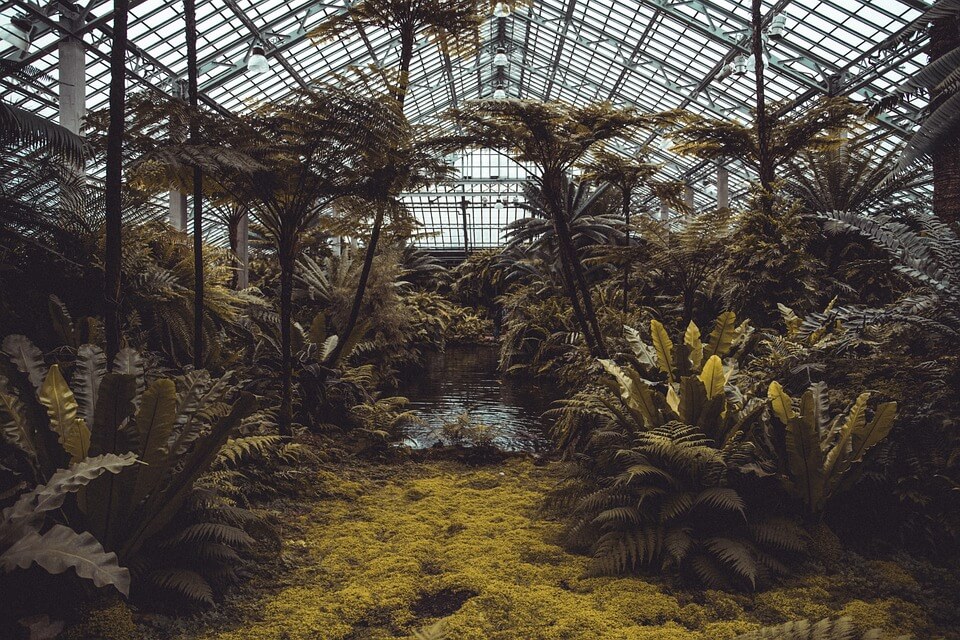 conservatory-4161955_960_720.jpg