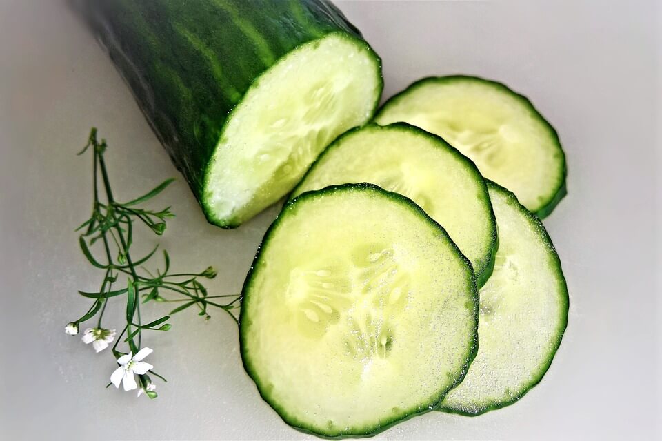How To Grow Cucumber From Scraps