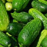cucumbers-849269_960_720.jpg