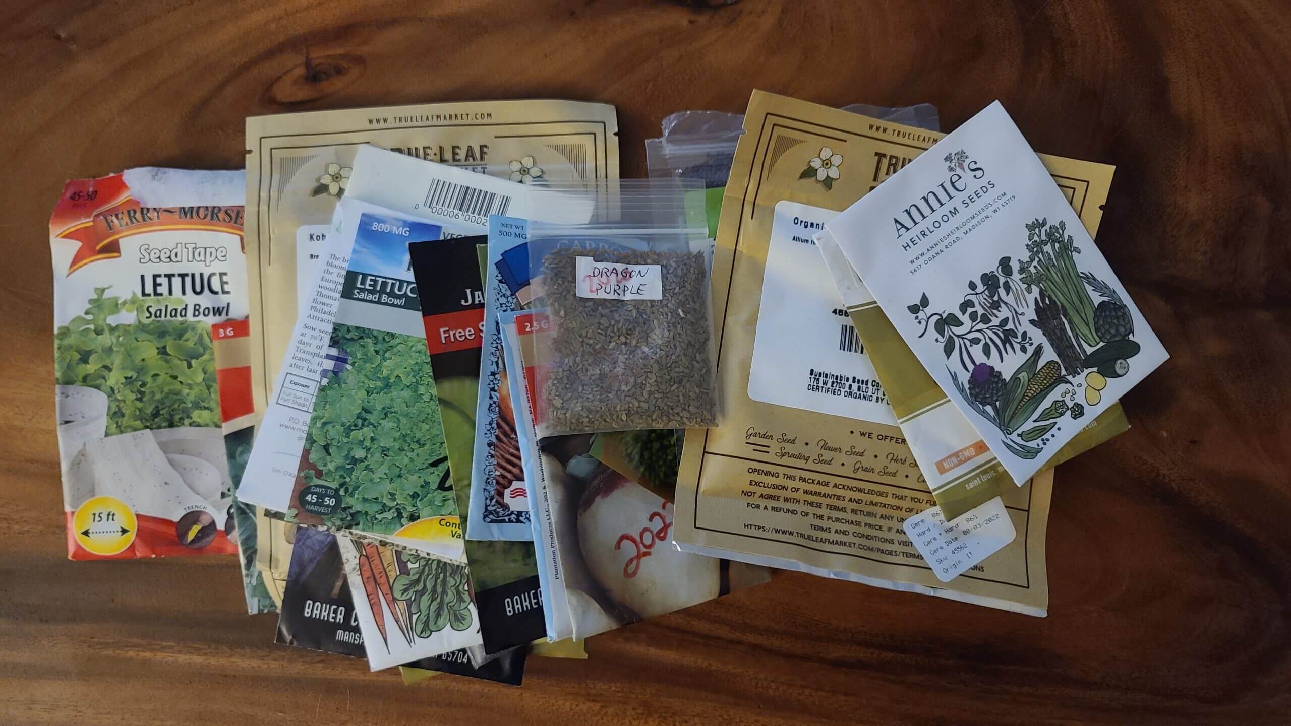 Here’s What I’m Planting in Florida in December