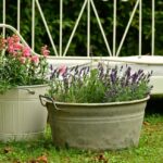floral-decoration-896205_960_720.jpg