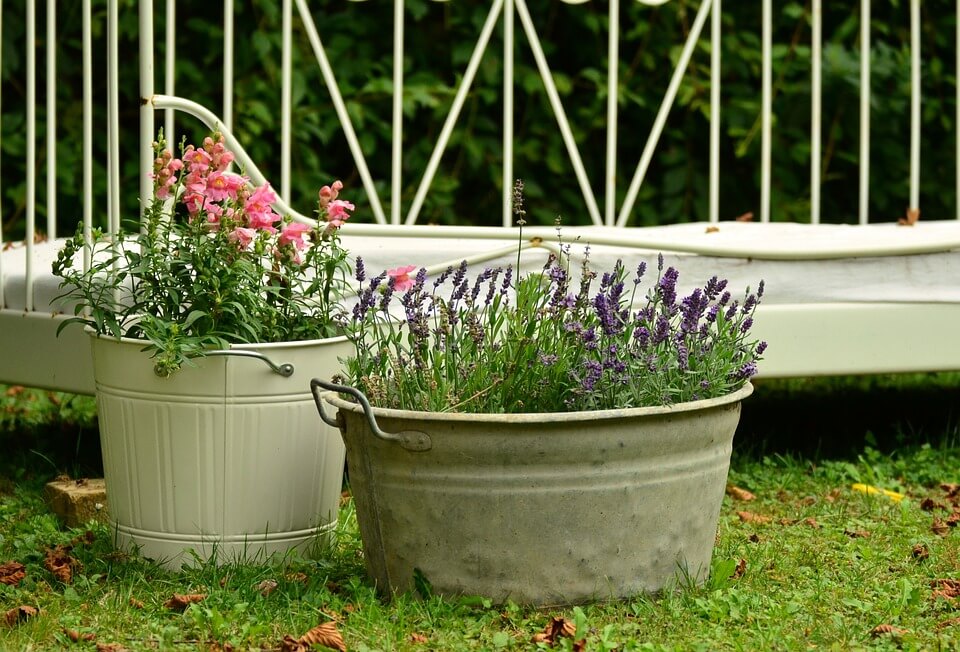 The Ultimate Guide to Container Gardening