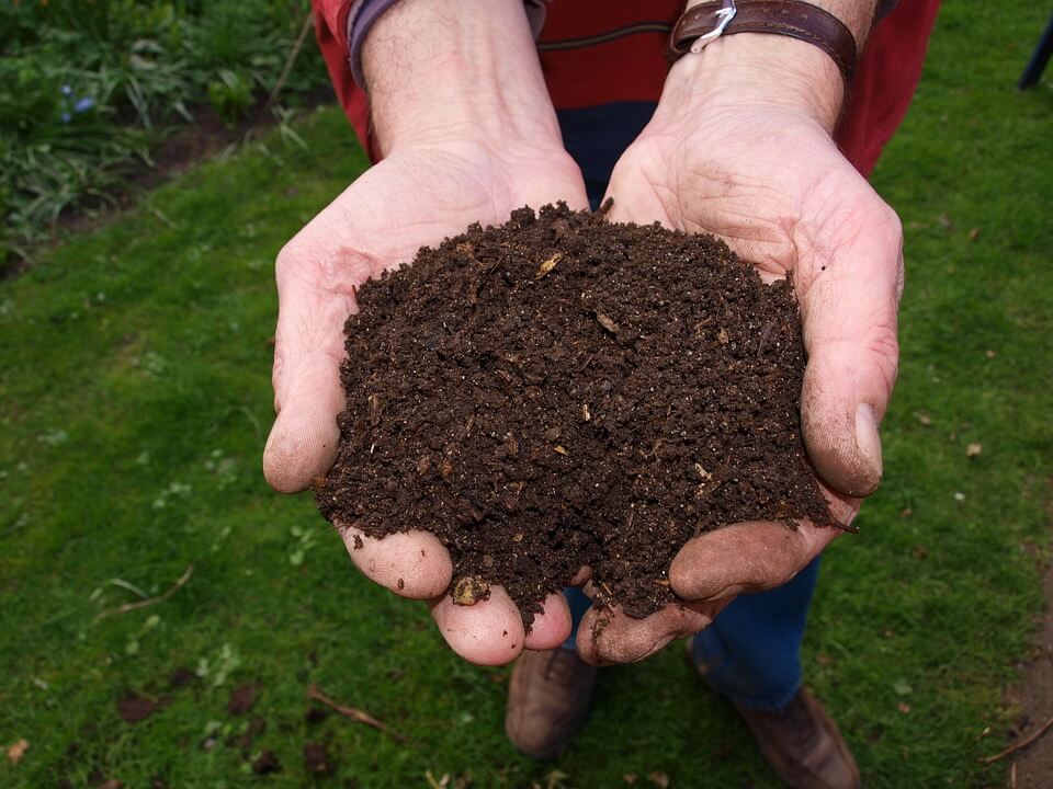 How to Compost