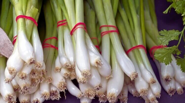 fresh-green-onion-bunches-4165548_960_720.jpg