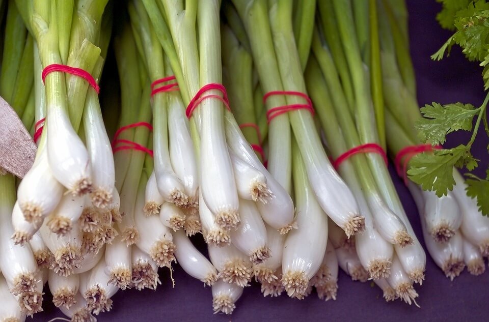 How To Grow Green Onions Or Scallions