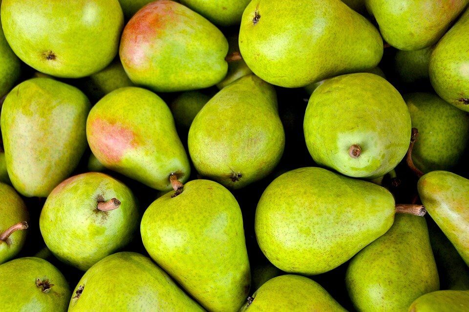 Canning Pears for Food Storage