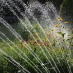 garden-3664278_960_720.jpg