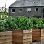 garden-5440802_960_720.jpg