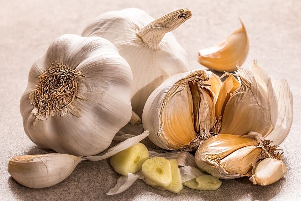 Growing Garlic 101
