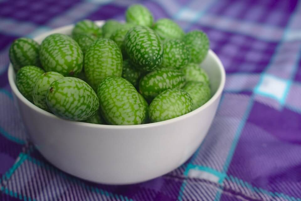 Cucamelon Plant: Mighty Mouse Melons