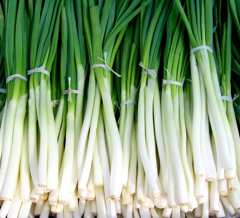 How to Grow Green Onions