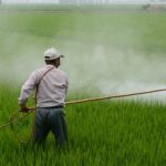 herbicide-587589__340.jpg
