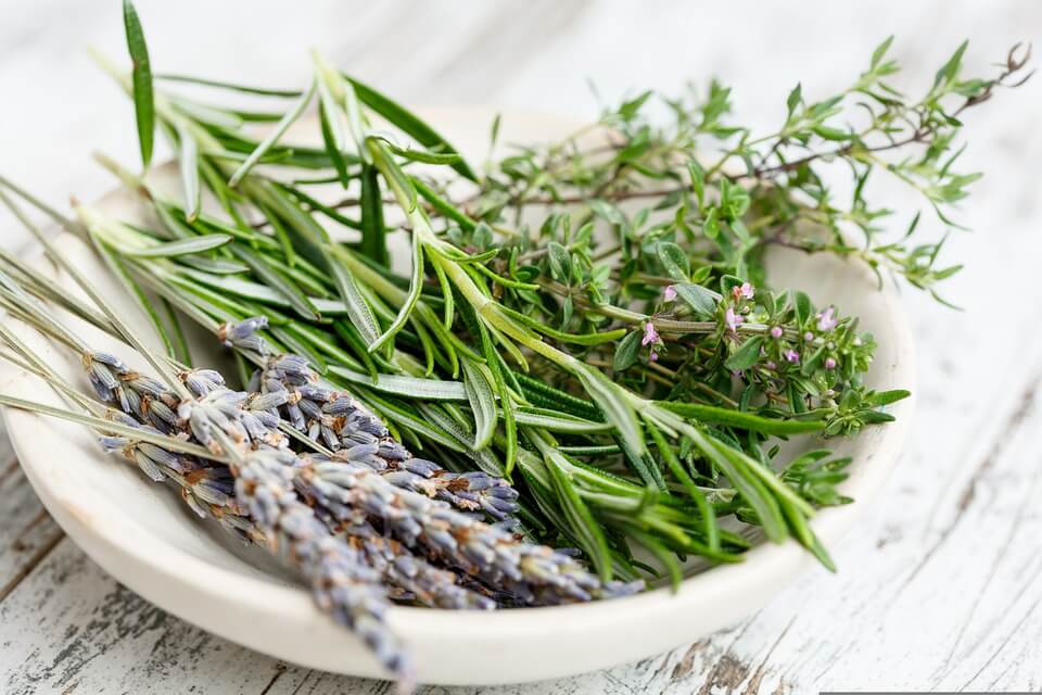 How to Grow Thyme