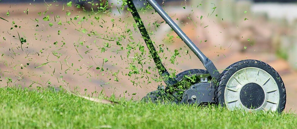 A Guide to Fall Lawn Care