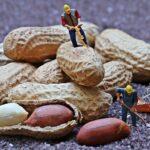 miniature-figure-1745718__340.jpg