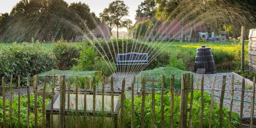 Water Management Tips for Vegetable Gardens All Year Round in Florida