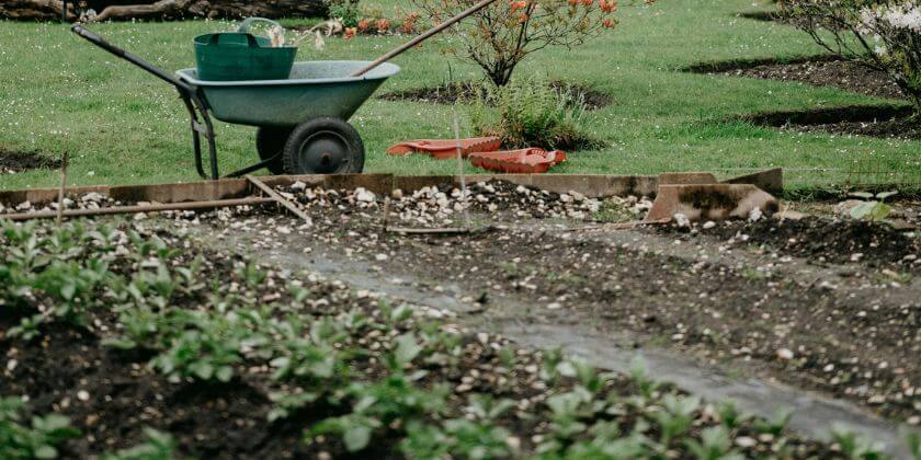 Planning Your Garden Layout for Next Year: A Step-by-Step Guide