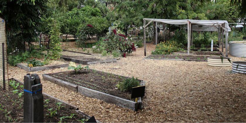 The Benefits of Mulching Your Garden Beds in Winter