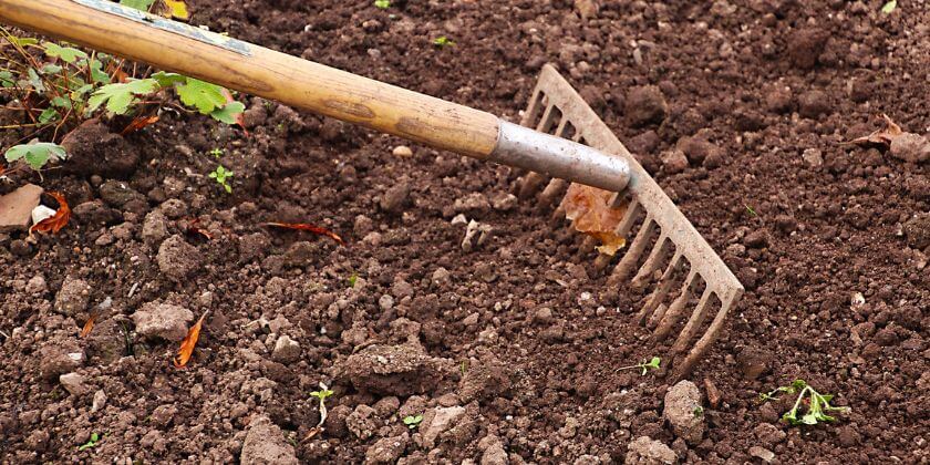 Winter Soil Care Tips