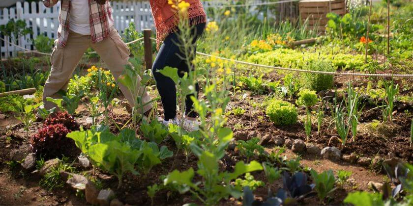 DIY Winter Gardening Projects for Families in Florida