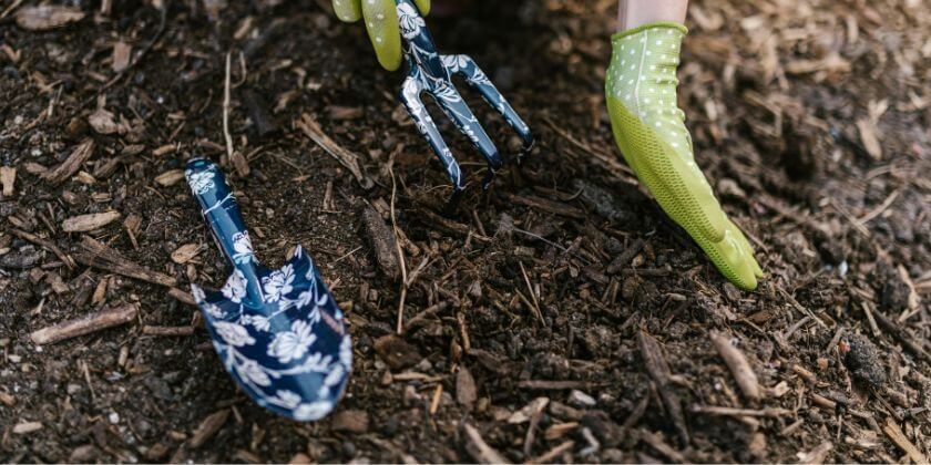 Organic Gardening Practices