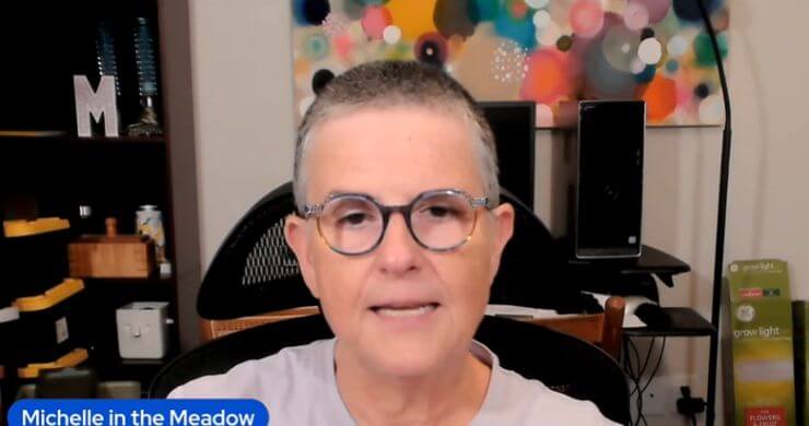 Starting to Flip Out – Live July 2026 – Michelle in the Meadow