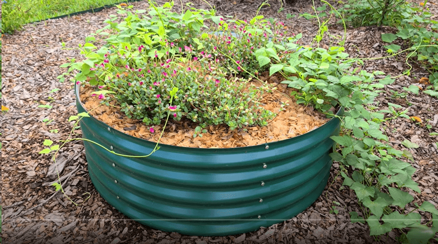 How To Make a Round Trellis for a Raised Garden Bed