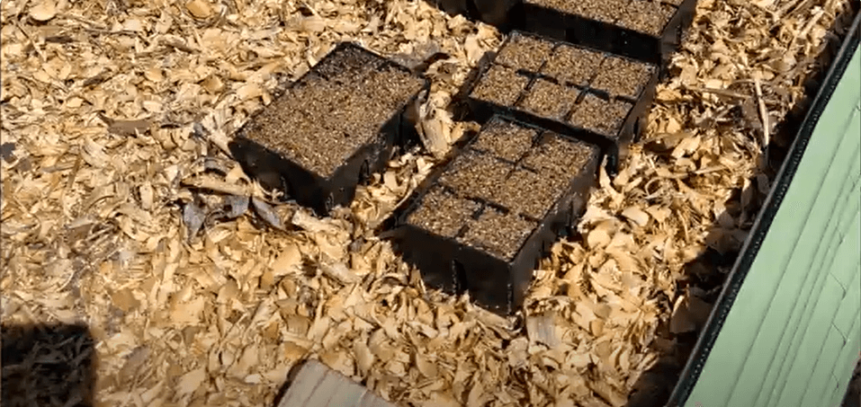 Are These The Toughest Seed Starting Pots? Let’s Find Out @epicgardening