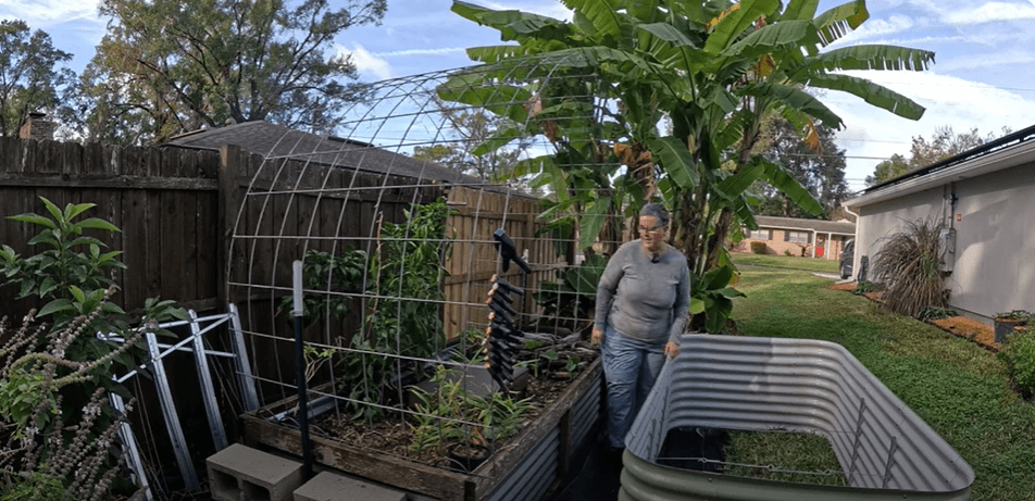 Cedar Raised Garden Bed DIY vs Birdies Raised Garden Bed