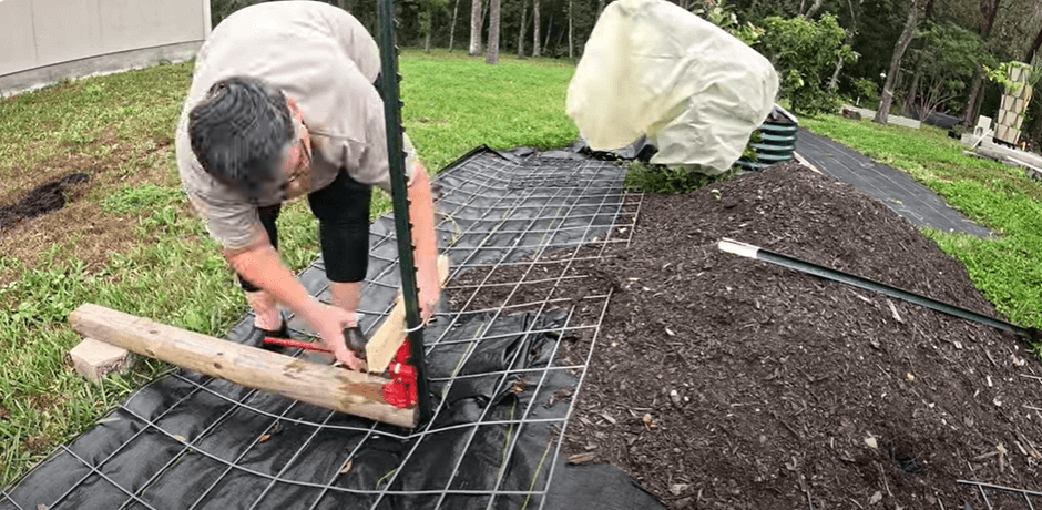 Unbelievable T-Post Removal Hack: No Digging!