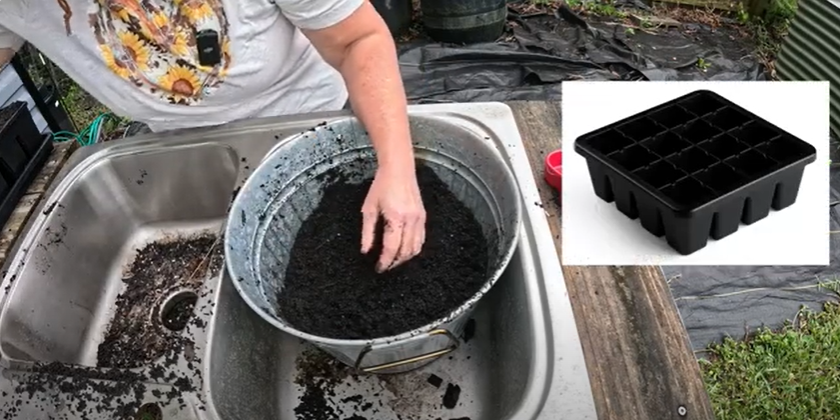 How I (Finally) Started Seeds for Spring