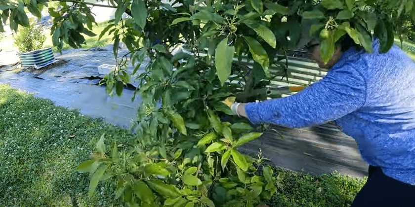 More Spring Cleaning and Pruning (Making Progress)