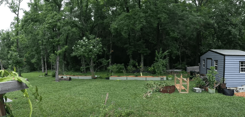Meadow Makeover Sneak Peek