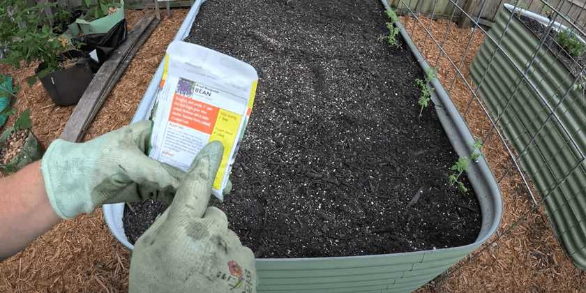 Still Starting Seeds in May in Florida