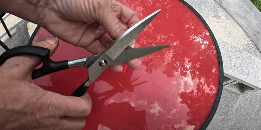 My Trick For Starting Seminole Pumpkin Seeds In Florida (Part 1)