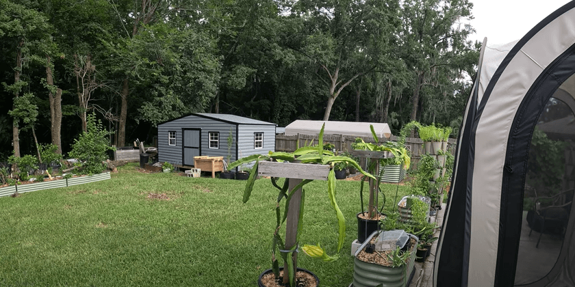 How I Get the Garden Ready for a Tropical Storm